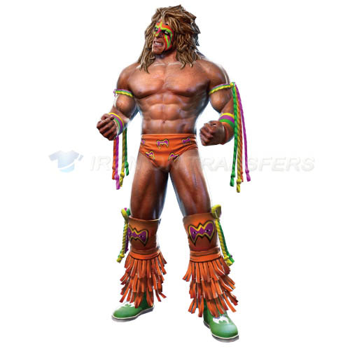 WWE Iron-on Stickers (Heat Transfers)NO.3990